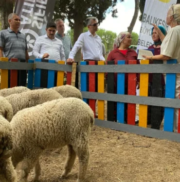 WhatsApp Image 2022-08-08 at 11.11.27