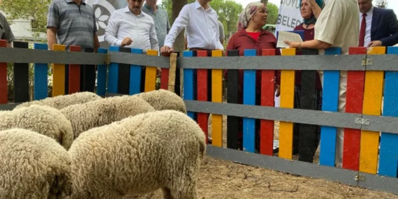 5 Ton Atık 10 Kuzu