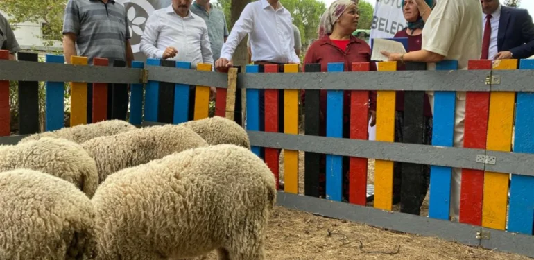 WhatsApp Image 2022-08-08 at 11.11.27