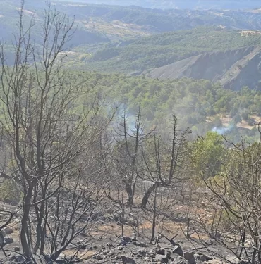 ADIYAMANDA_ORMAN_YANGINI_KRITER_HABER