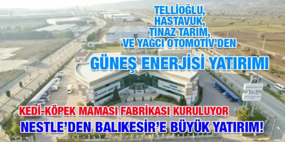 NESTLE BALIKESİR’DE KEDİ-KÖPEK MAMASI FABRİKASI KURUYOR