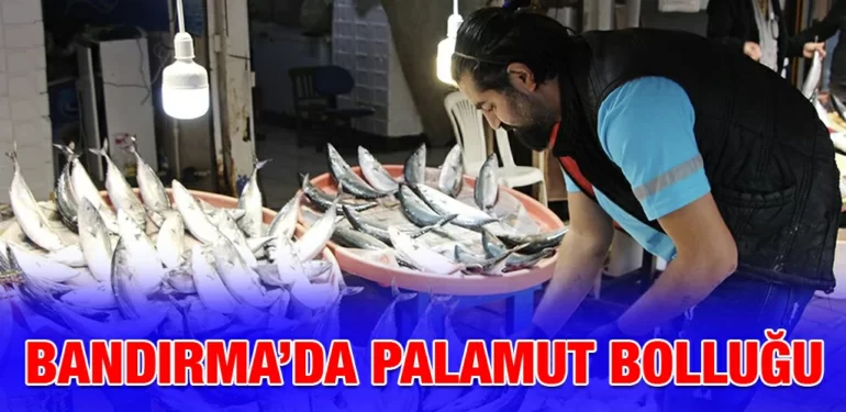 BANDIRMA'DA_PALAMUT_BOLLUGU