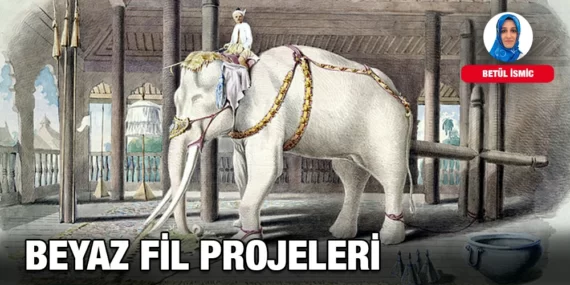 BEYAZ FİL PROJELERİ