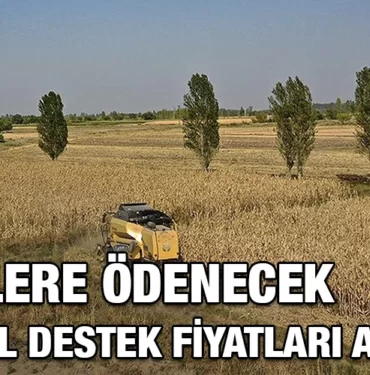 CIFTCILERE-ODENECEK-TARIMSAL-DESTEK-KRITER-HABER