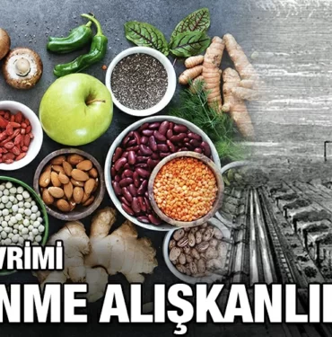 SANAYI-DEVRIMI-BESLENME-ALISKANLIKLARI-KRITER-HABER