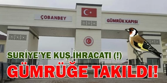 SURİYE’YE KUŞ İHRACATI GÜMRÜĞE TAKILDI!