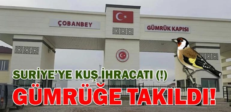 SURIYEYE-KUS-IHRACATI-KRITER-HABER