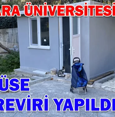 KAMPUSE-KEDI-REVIRI-YAPILDI