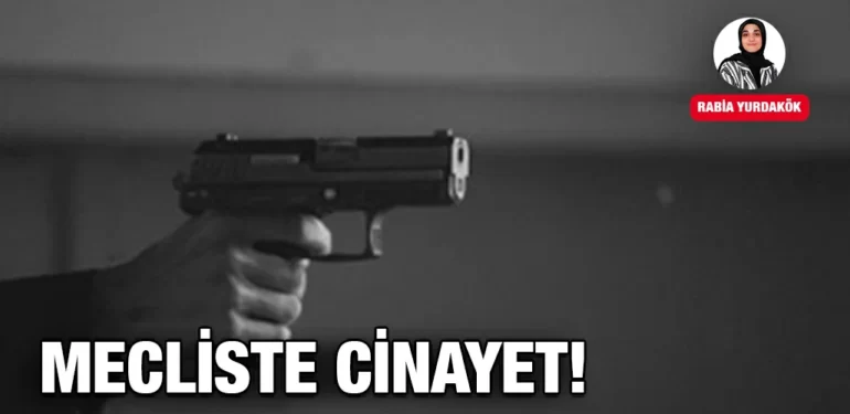 MECLISTE-CINAYET-KRITER-HABER