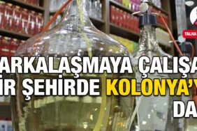 TALHA-YURDAKÖK-KOLONYA