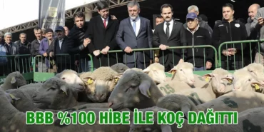 bbb_koc_kriter_haber