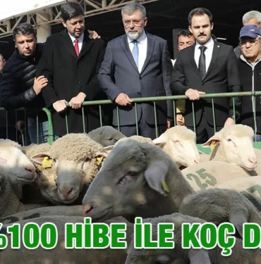 bbb_koc_kriter_haber