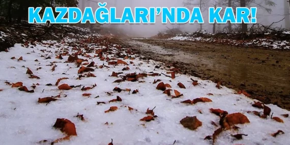 KAZDAĞLARI’NA YILIN İLK KARI DÜŞTÜ!