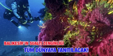kirmizi_mercanlar_kriter_haber