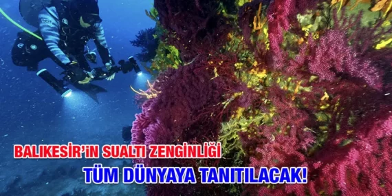 BALIKESİR’İN SUALTI ZENGİNLİĞİ TÜM DÜNYAYA TANITILACAK