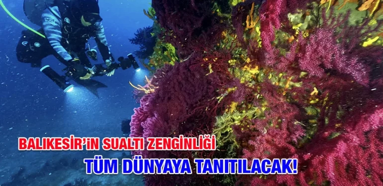 kirmizi_mercanlar_kriter_haber