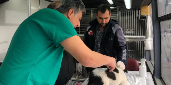 Vetbüs ilçe ilçe gezecek