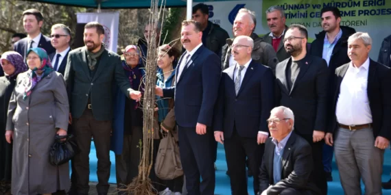 Büyükşehir, Sındırgı’da mürdüm eriği ve hünnap fidanı dağıttı
