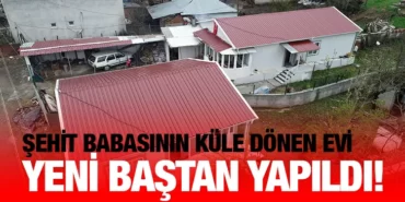 BBB