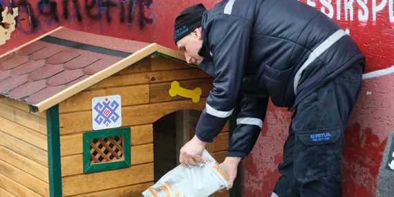Altıeylül’de sokak hayvanları belediye koruması altında