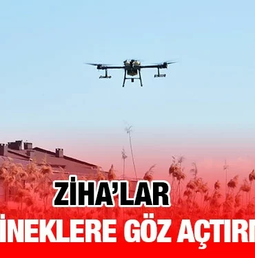ziha_kriter_haber