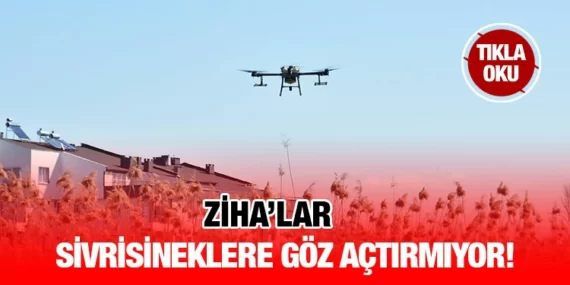 Büyükşehir ZİHA’lar ile larvaları yok ediyor