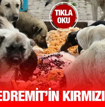 edremit_kriter_haber