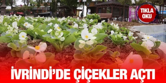 İVRİNDİ RENGÂRENK