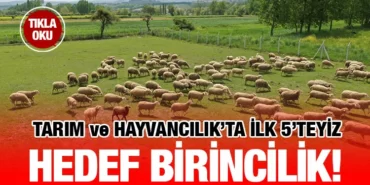 ivrindi_kuzu_kriter_haber