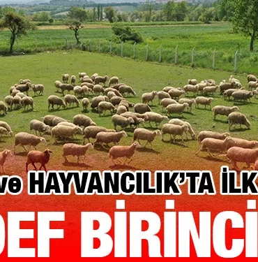 ivrindi_kuzu_kriter_haber