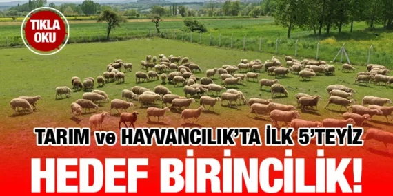 Balıkesir hayvancılığın en iyisi olma yolunda