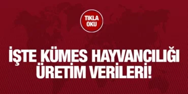 TUİK_KRİTER_HABER