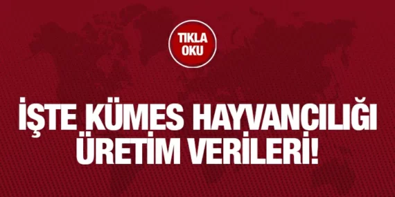 Kümes Hayvancılığı Üretimi