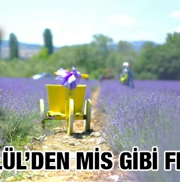 altieylul_kriter_haber