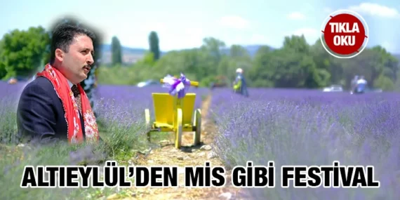 ALTIEYLÜL LAVANTA GÜNLERİ BAŞLADI