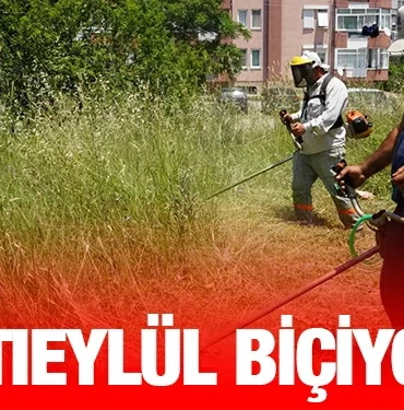 altieylul_kriter_haber