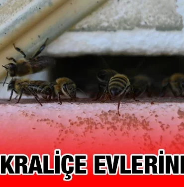 bbb_kirsal_hizmetler_kriter_haber