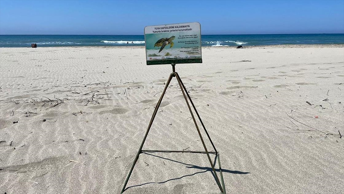 caretta-carettalarin-yuvalama-alani-patara-kumsalina-arac-girisi-onlensin-cagrisi-jAOXakYn.jpg