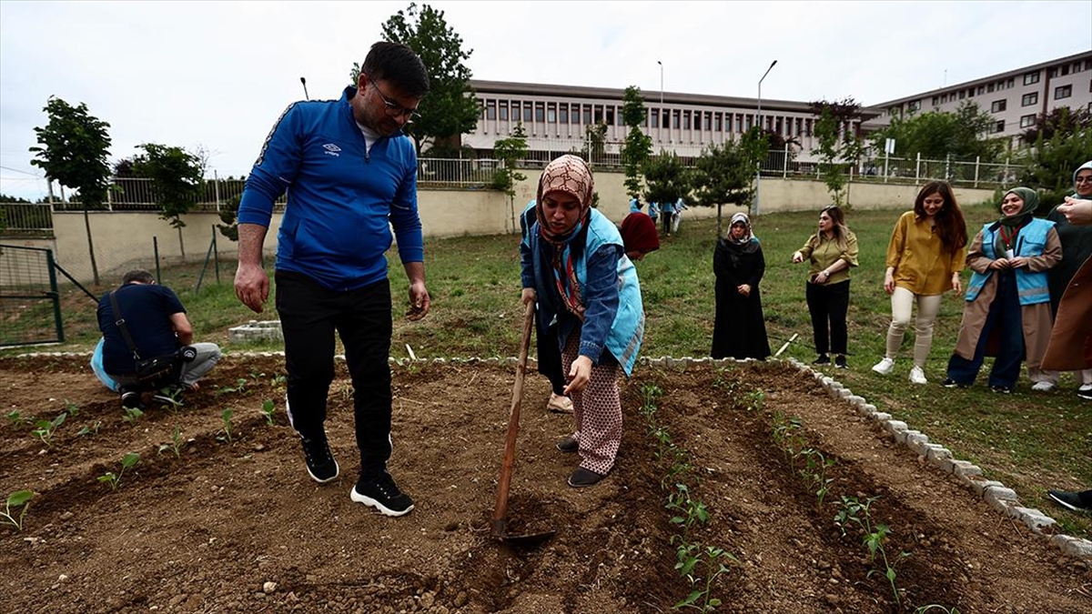 duzcede-genclerin-elinde-yeseren-ata-tohumlari-yurt-bahcesinde-toprakla-bulustu-7DXWB3Qe.jpg