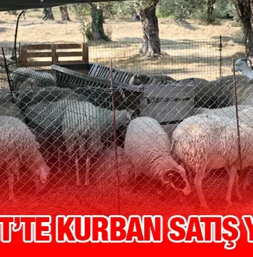 edremit_kriter_haber
