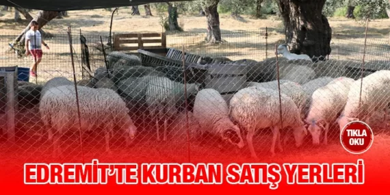 Edremit’te kurban satış ve kesim yerleri belirlendi