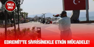 edremit_sivrisinek_kriter_haber