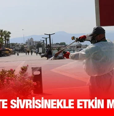 edremit_sivrisinek_kriter_haber