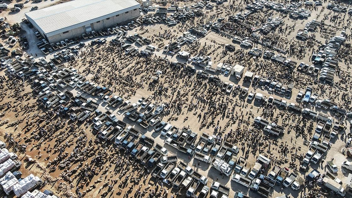 idlibde-kurulan-kurban-pazarlarinda-hareketlilik-basladi-j9aL9MYz.jpg
