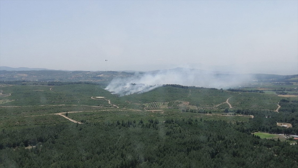 izmirde-cikan-orman-yanginina-mudahale-ediliyor-ciwsxcUD.jpg