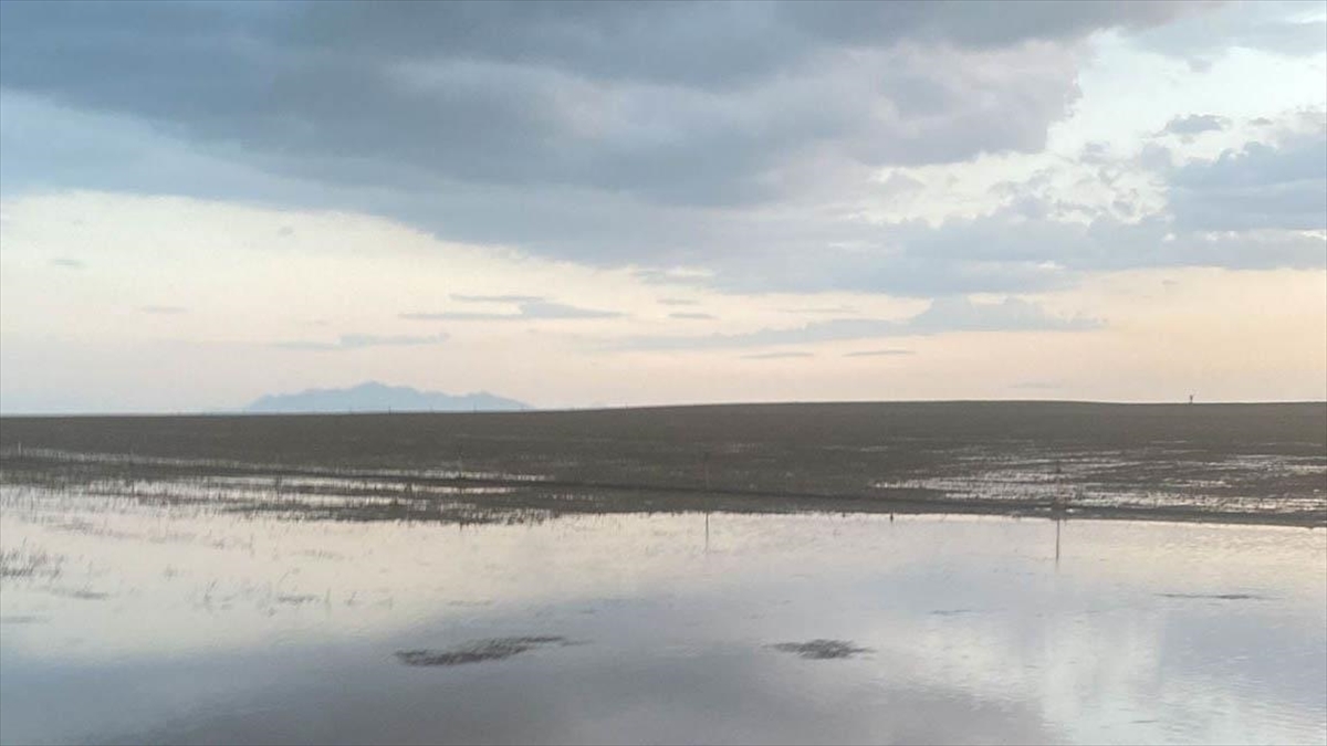konyada-saganak-nedeniyle-tarim-arazilerini-su-basti-xNjvvWNC.jpg