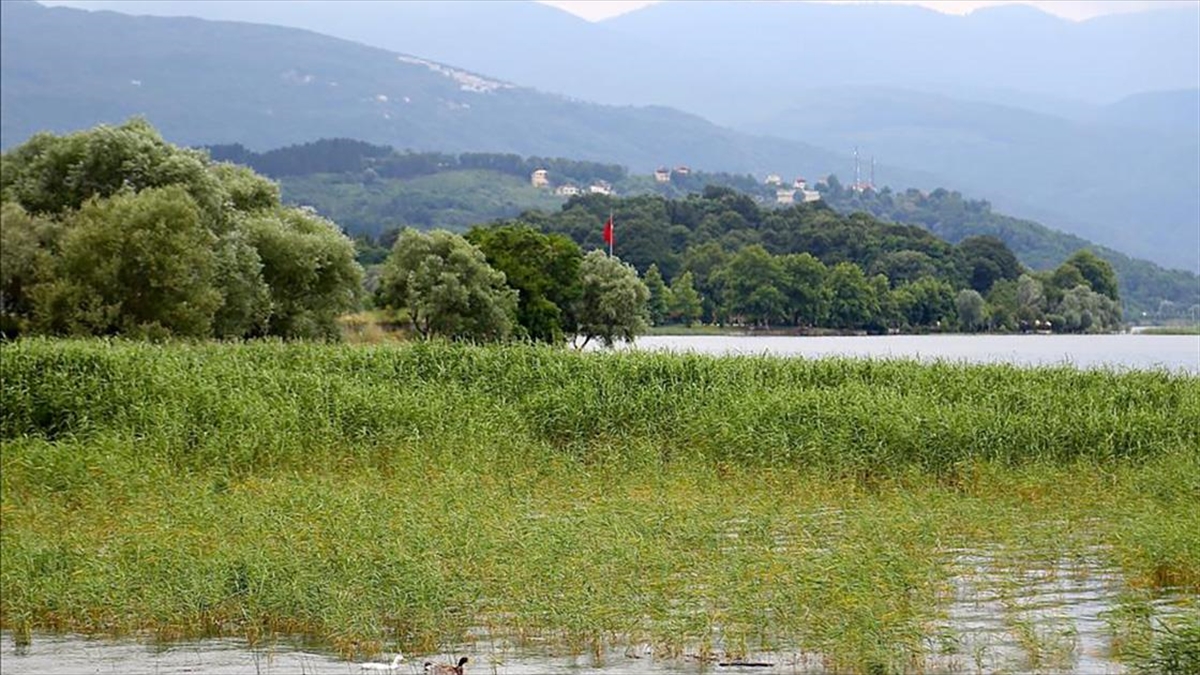 sapanca-golunde-su-seviyesi-maksimuma-yaklasti-P8wAcehc.jpg