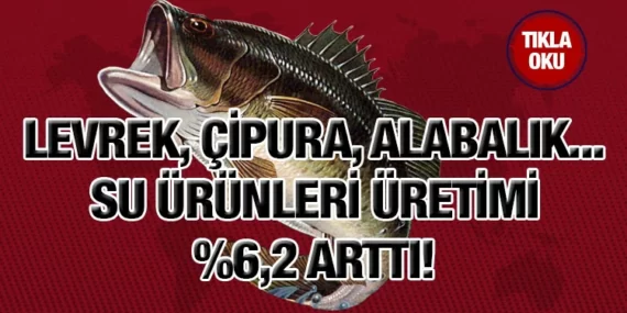 Su ürünleri üretimi 2022 yılında %6,2 arttı
