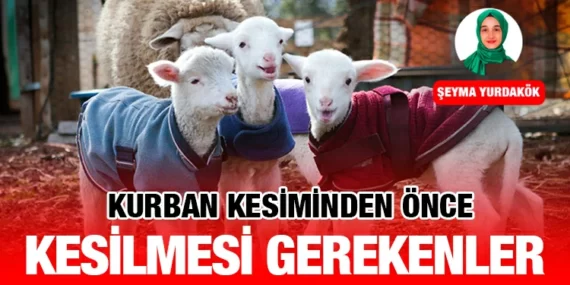 KURBAN KESİMİNDEN ÖNCE KESİLMESİ GEREKENLER