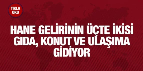 2022 Hanehalkı Tüketim Harcaması